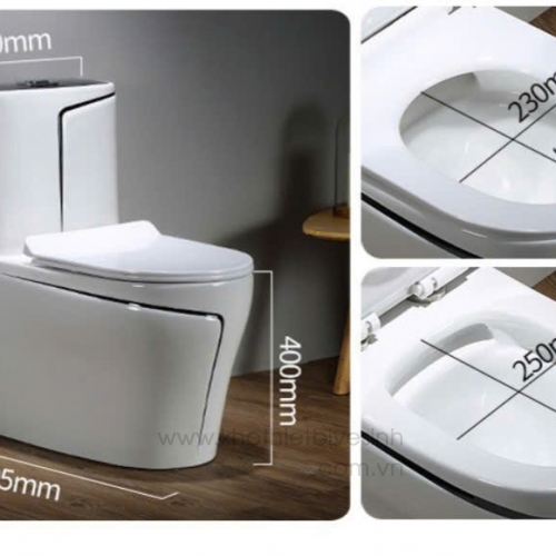 Bồn Cầu Màu Vân Đá SSE-2237