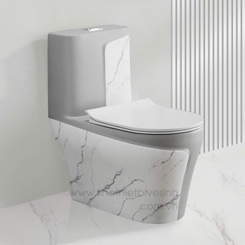 Bồn Cầu Màu Vân Đá SSE-2237