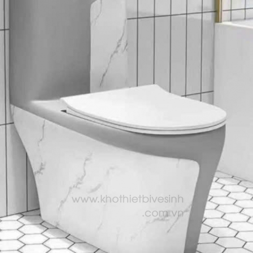 Bồn Cầu Màu Vân Đá SSE-2237
